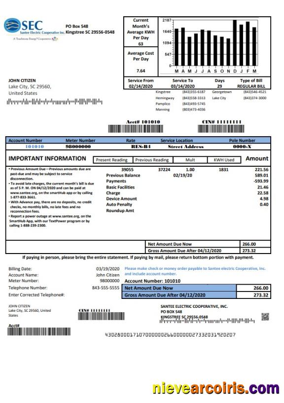 USA South Carolina Santee Electric Cooperative SEC proof of address utility bill